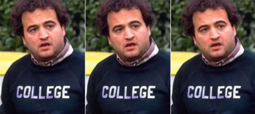 animalhouse