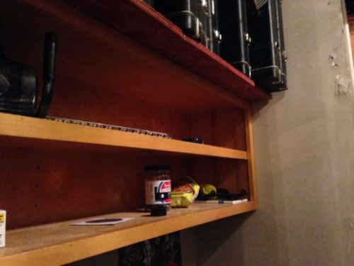 guitar-bookcase-shelf3